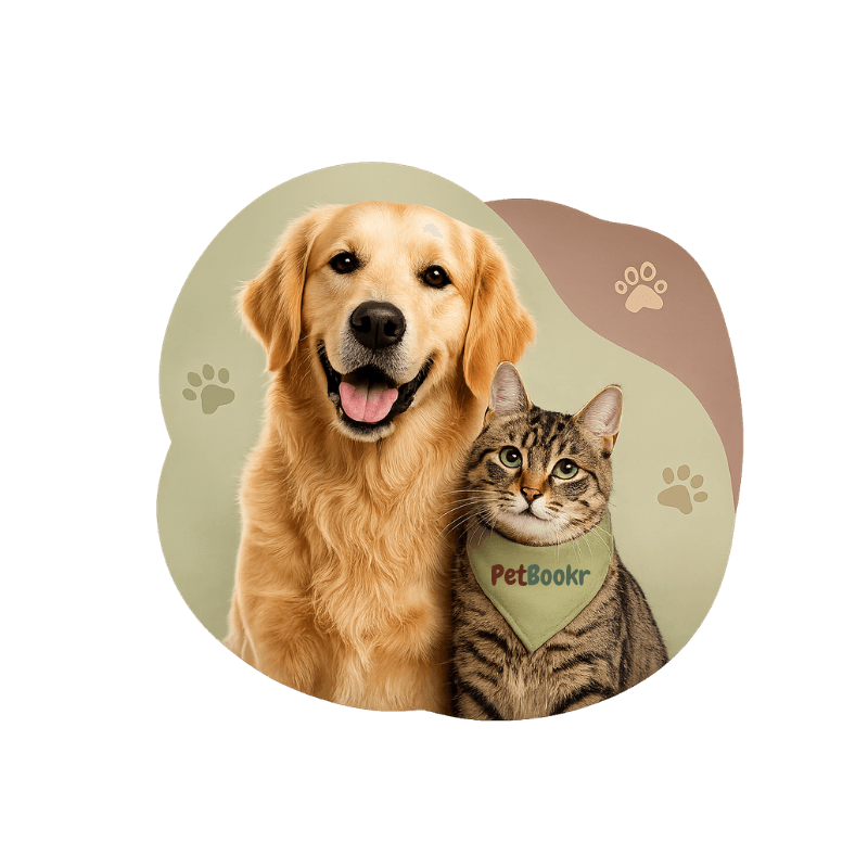 Golden retriever and tabby cat wearing a PetBookr bandana